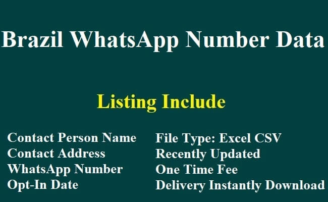 巴西 Whatsapp 数据